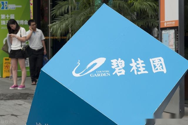 碧桂园15亿再造家居行业新业态？